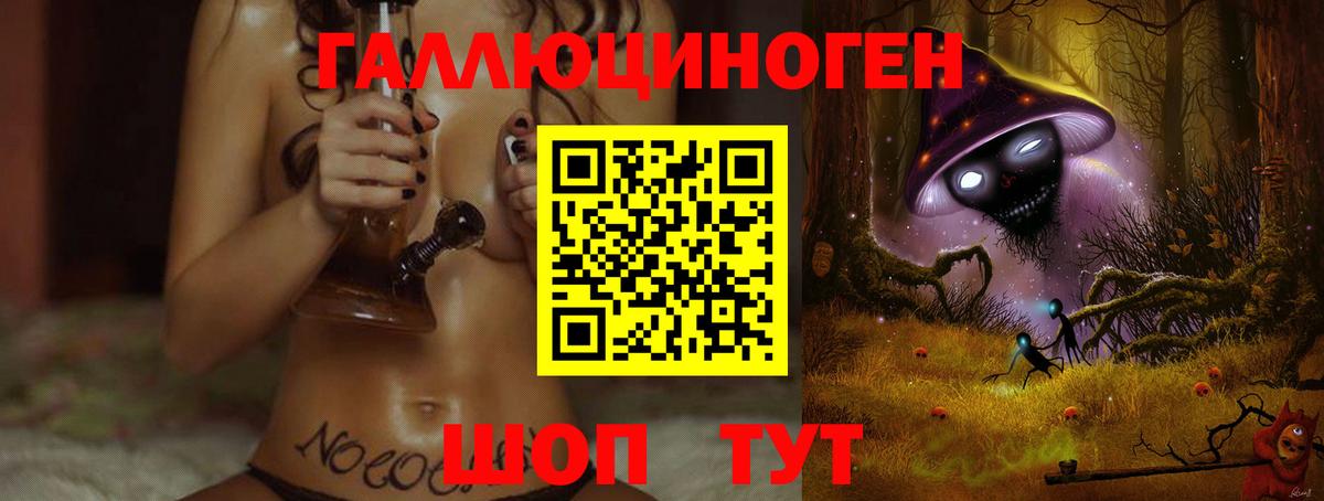 Галлюциногенные грибы Psilocybe Губкинский