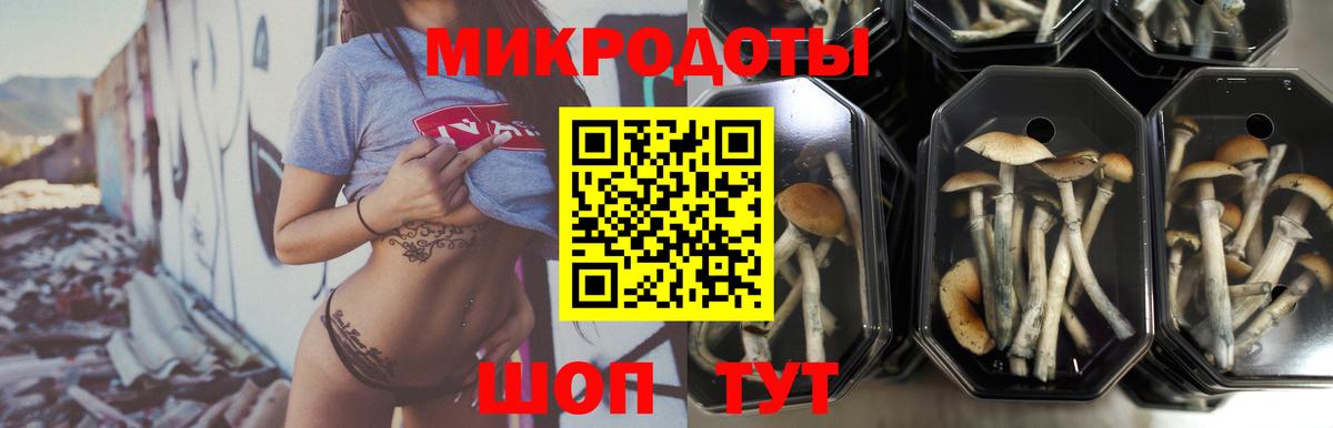 Губкинский  Псилоцибиновые грибы Magic Shrooms  Вход с VPN 